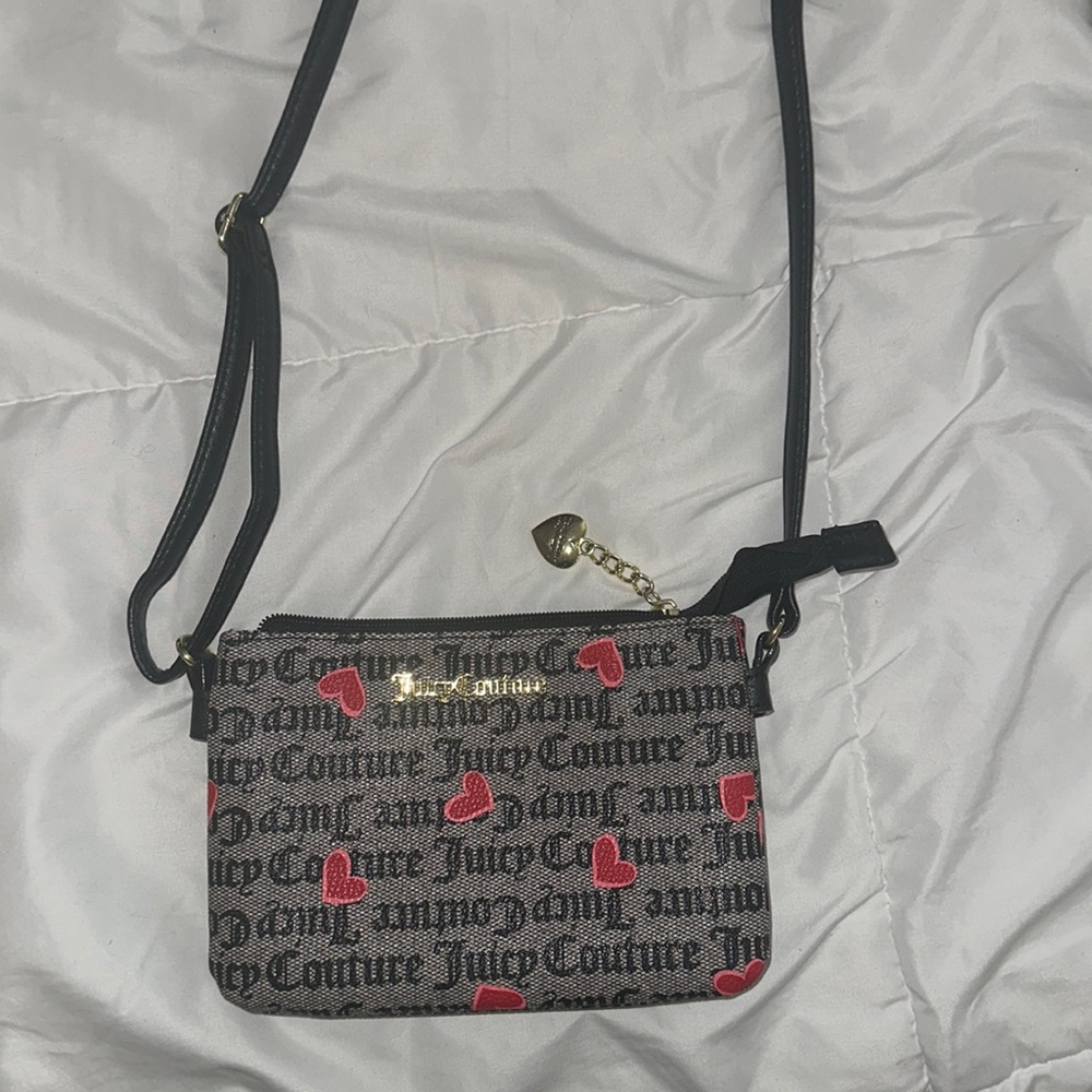 Juicy Couture purse 🎀